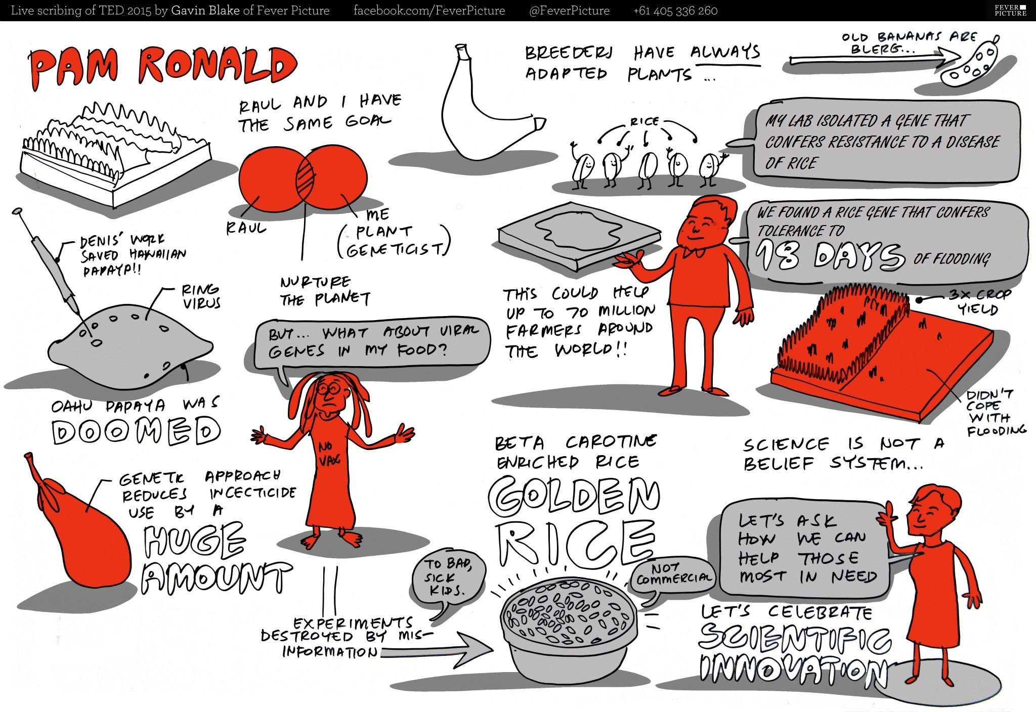 Comic depicting the main ideas from Dr. Pamela Ronald's 2015 TED talk by Gavin Blake, FeverPicture