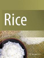 Rice journal logo