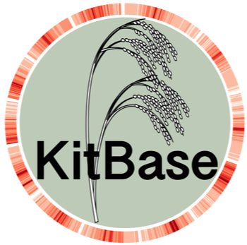 KitBase-logo