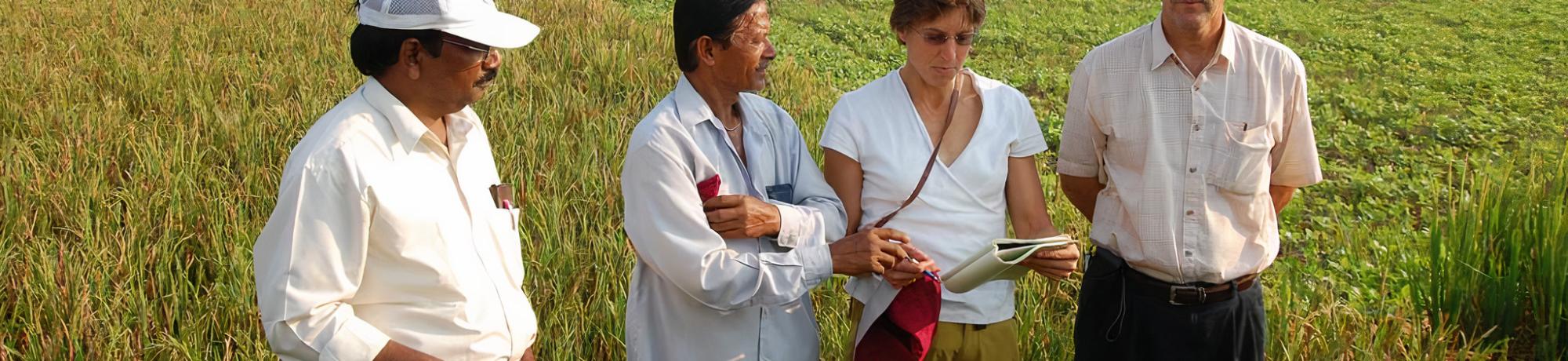 Dr. Ronald and fellow researchers surveying a field